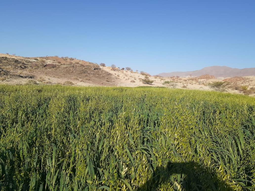 Achab Camping Camp Site Usakos Dış mekan fotoğraf